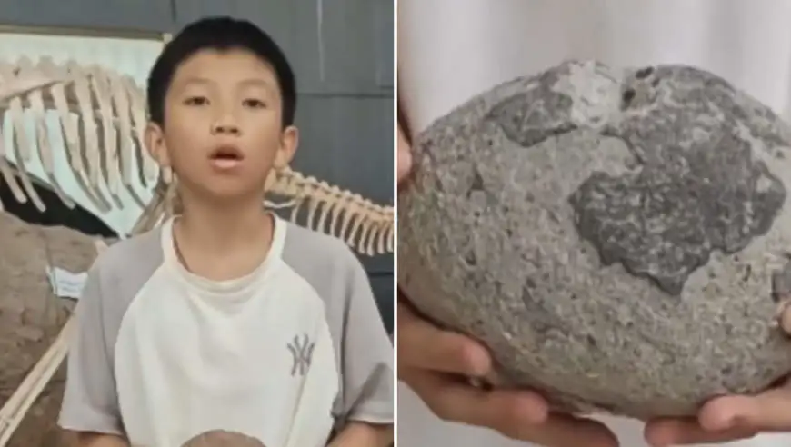 广东“小孩哥”家门口捡到6500万年前恐龙蛋