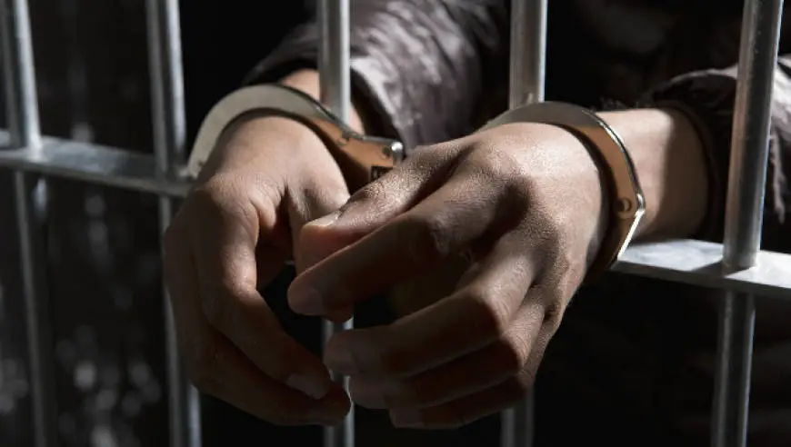 菲律宾打掉一诈骗窝点，255名外籍人士被捕，两中国籍老板仍在逃