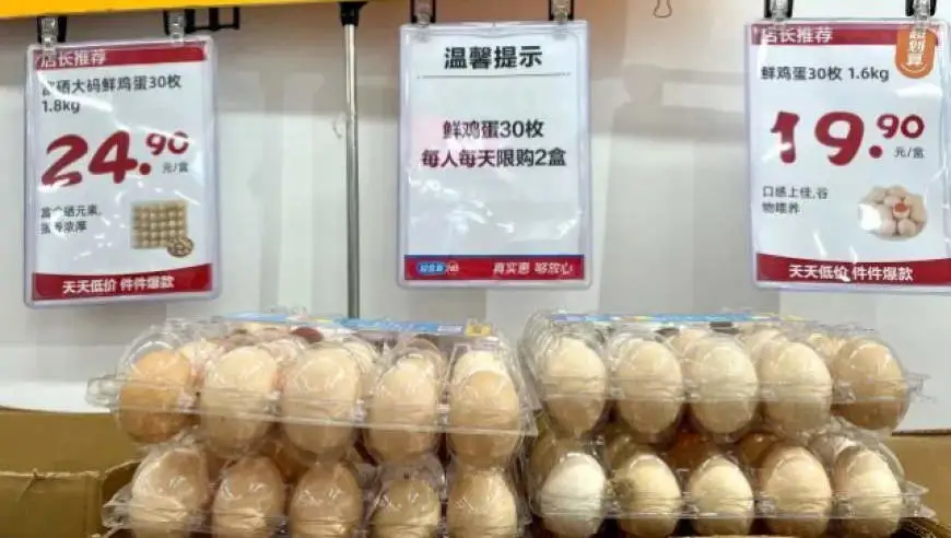 鸡蛋价格创近十年同期新高，上市公司几家欢喜几家愁