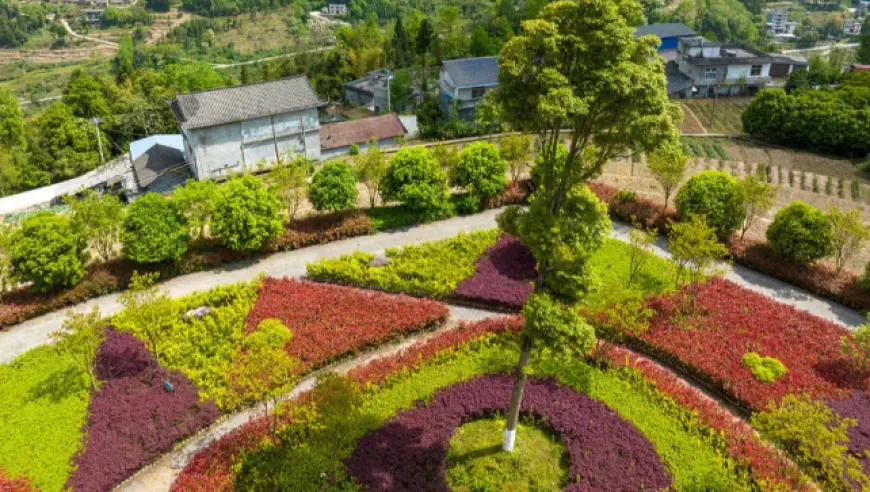 江西明确：城市绿化严禁跟风引种网红花草、大面积铺设无功能草坪