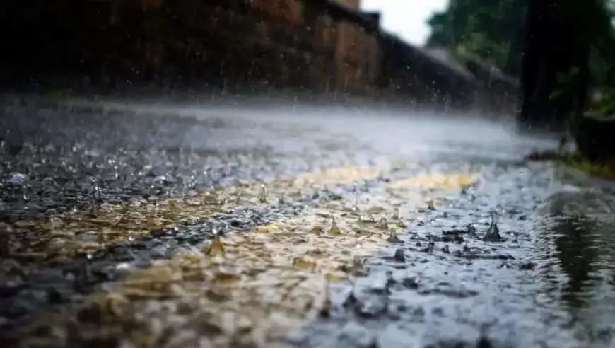 成片大到暴雨！北方或迎立秋以来最强降雨过程