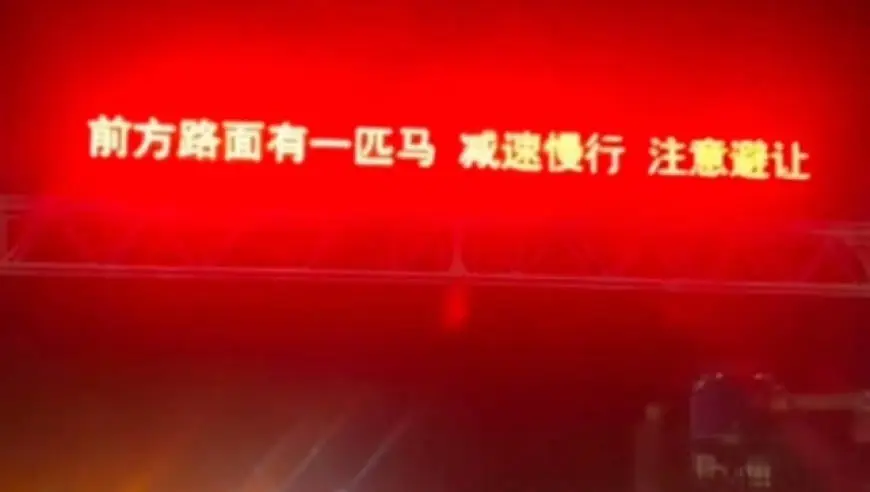 “前方路面有一匹马，注意避让”，沈海高速LED屏现罕见提示语