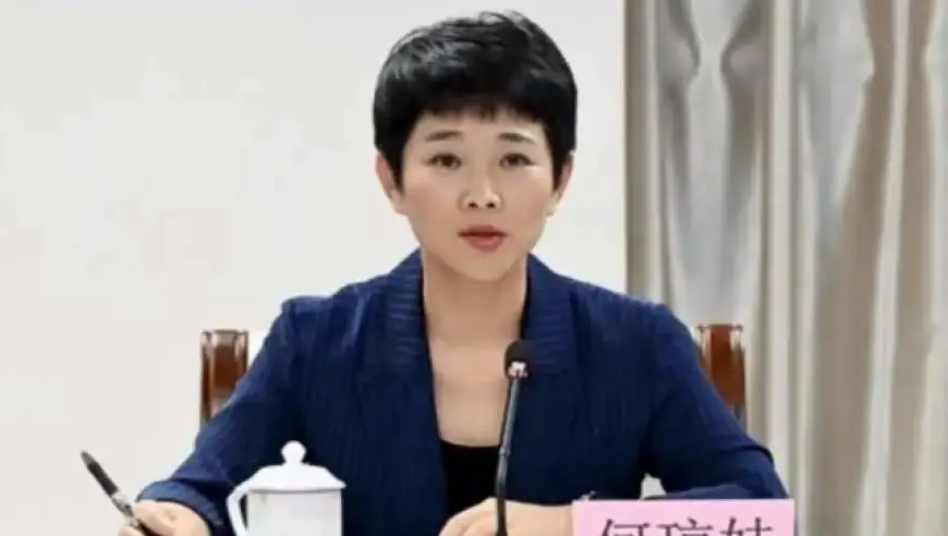何琼妹，被双开