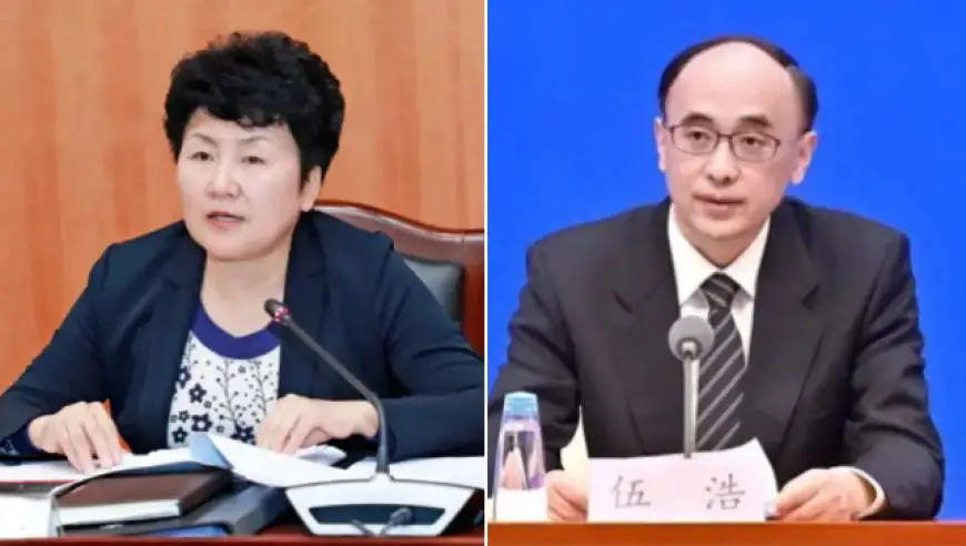 包惠被开除党籍，伍浩被“双开”