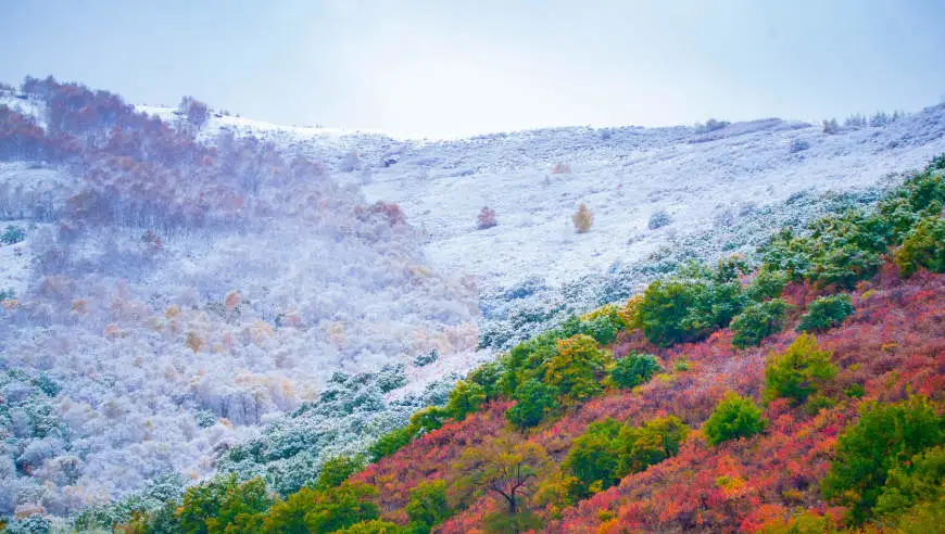 暴雨、大暴雪！新一股冷空气来袭 多地降温超10℃
