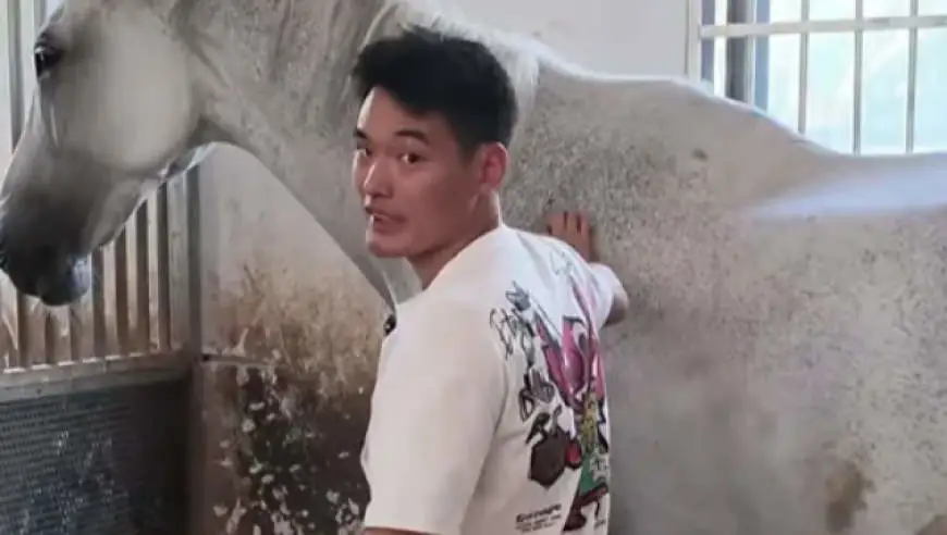 男生高考522分，被调剂到马术专业学钉蹄：门槛高，全年级就他一人，每年学费仅4000元，“月薪保底5位数”