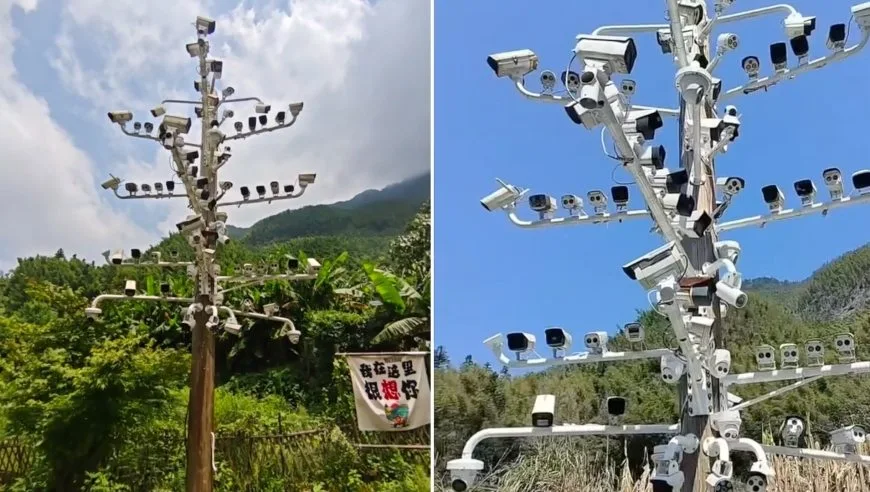 一根杆上84个监控，仅1个可用，83个已报废，网红创意别只玩视觉噱头