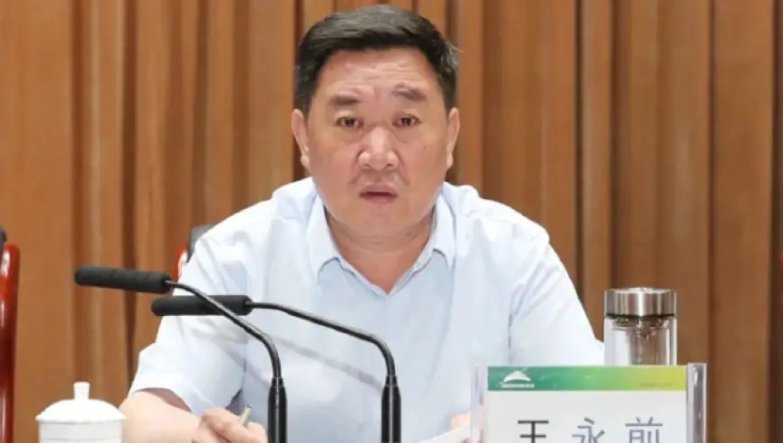 王永前耗资9800万元违规实施“灯光秀”项目，被通报