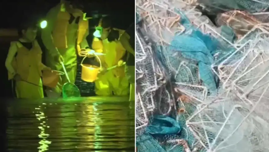 视频丨地笼泛滥 红树林保护区竟成赶海“乐园”！记者调查
