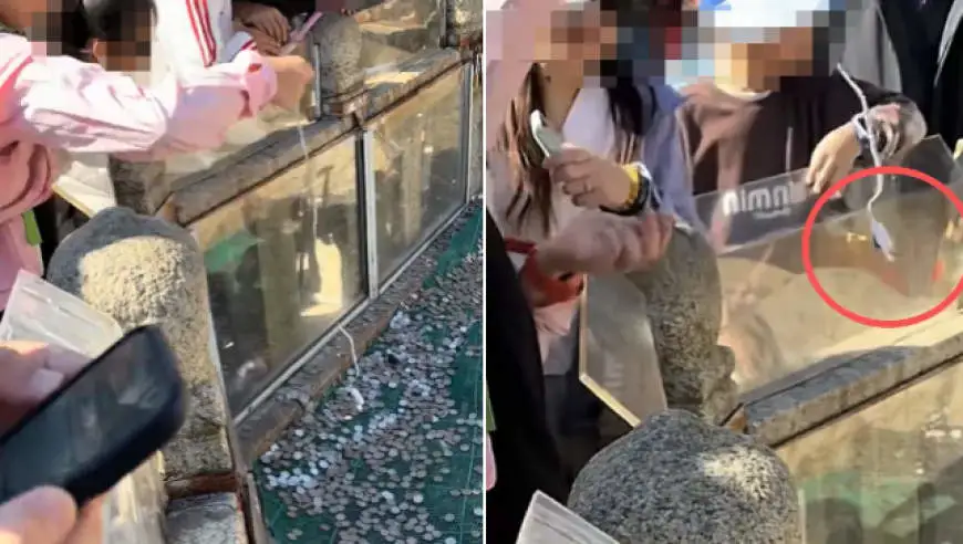 多名孩子用智能手表磁铁打捞泰山许愿池硬币，目击者：工作人员现场制止，硬币已重新投回池内