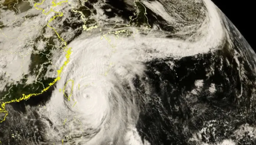 台风“蔷琵”长出“头发”！上海六区发布预警，全市今天傍晚至明天暴雨，局部大暴雨！6万多人紧急转移；浦东、虹桥等29座机场或将受扰