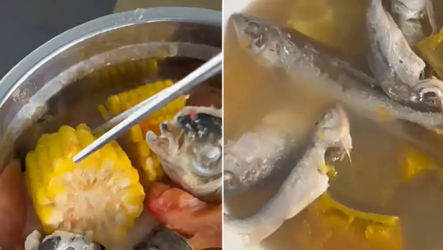 男子回家半个月瘦15斤，全靠妈妈的特色料理，菜品出其不意随心所欲，网友：换我也不想吃一口