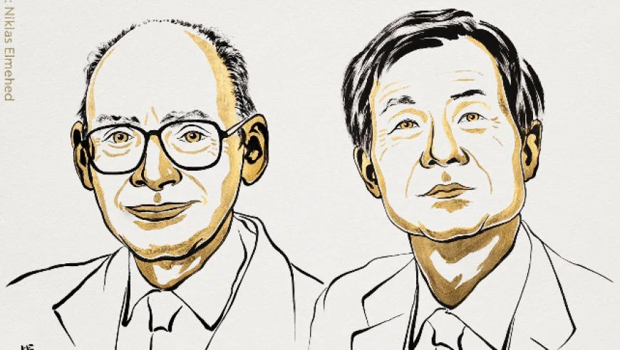 2026年诺贝尔化学奖揭晓 2名科学家获奖