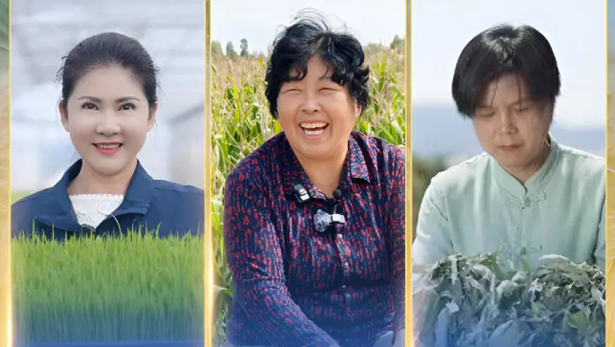 联合国粮农组织表彰“百位巾帼英雄” 殷玉珍等3名中国女性获殊荣