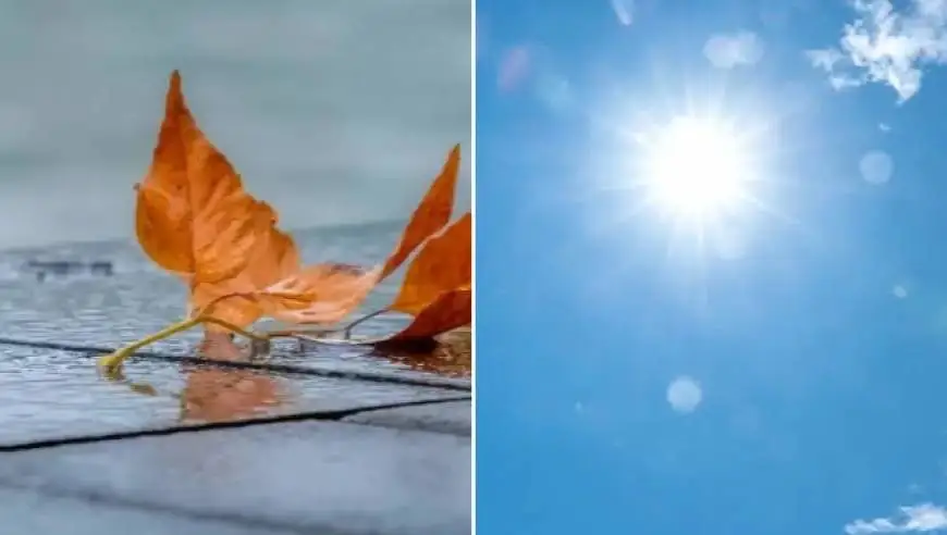 南北天气“各过各的”：北方多地降温或超10℃，华南高温持续需防暑