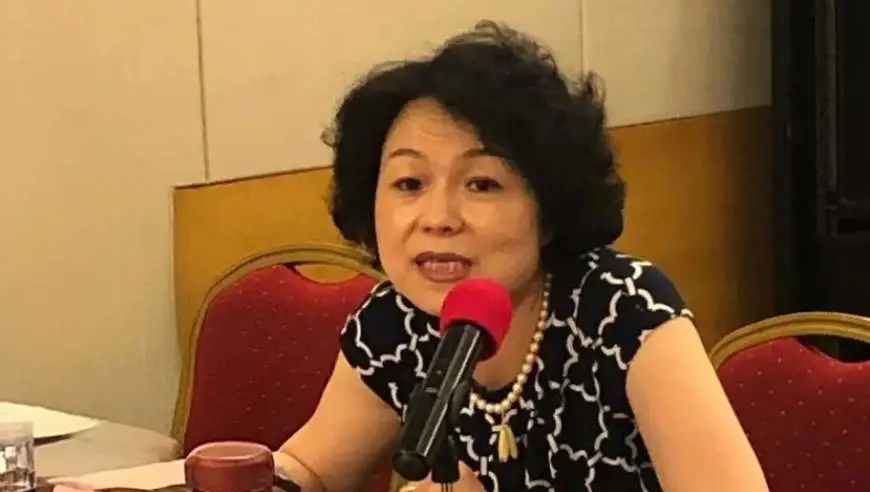 李瑛被查！涉嫌严重违纪违法