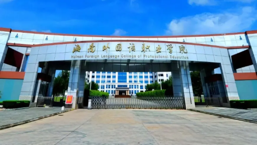 海南一男生逃避军训飞往上海旅游，有网友质疑其“做事不考虑后果”，本人发文致歉，校方回应：正在办理退学手续；目前其账号已被禁止关注