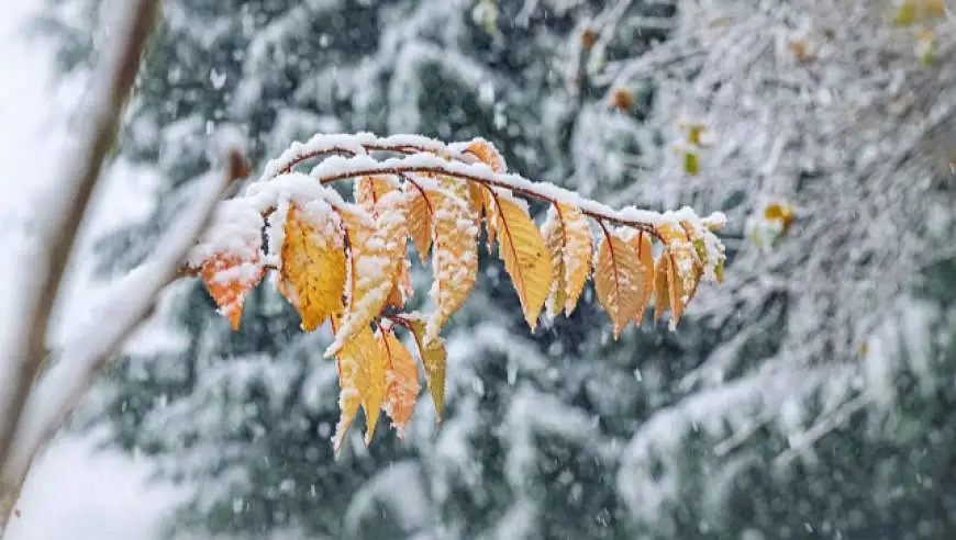 特大暴雪！暴雨！新一轮冷空气将登场