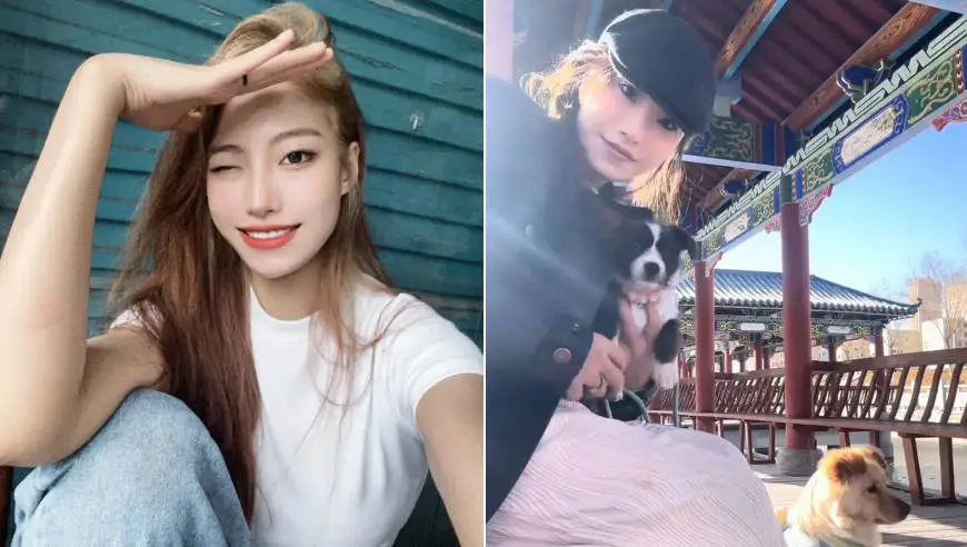 救助流浪宠物的爱心博主秦思雨感染罕见真菌病逝，年仅27岁，丈夫：她温柔漂亮有爱心，随时带着猫狗粮，走到哪里都会喂