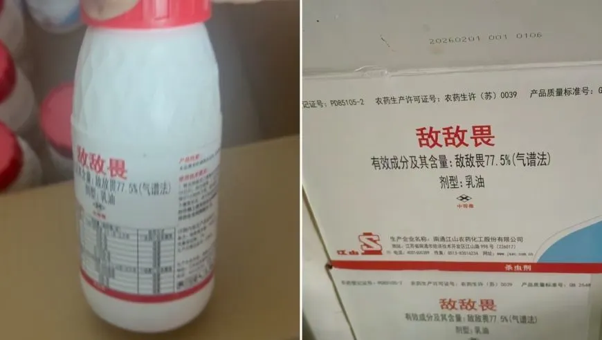 “敌敌畏消杀餐厅”事件已有涉案人员被批捕：此前6人被刑拘，中央政法委点名