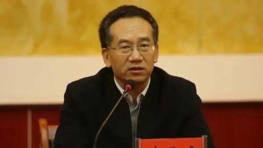 牛雪峰，被查