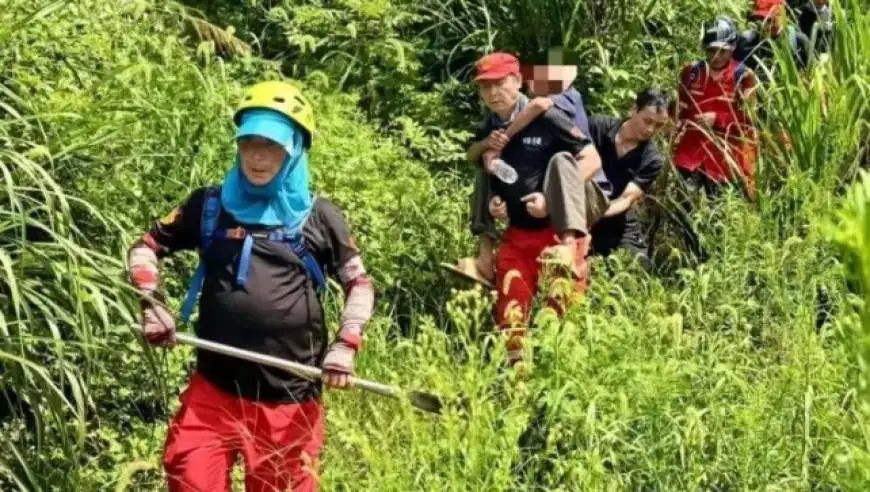 81岁阿尔茨海默症老人走失14天，最终在竹林中被发现！靠雨水存活，目前生命体征平稳