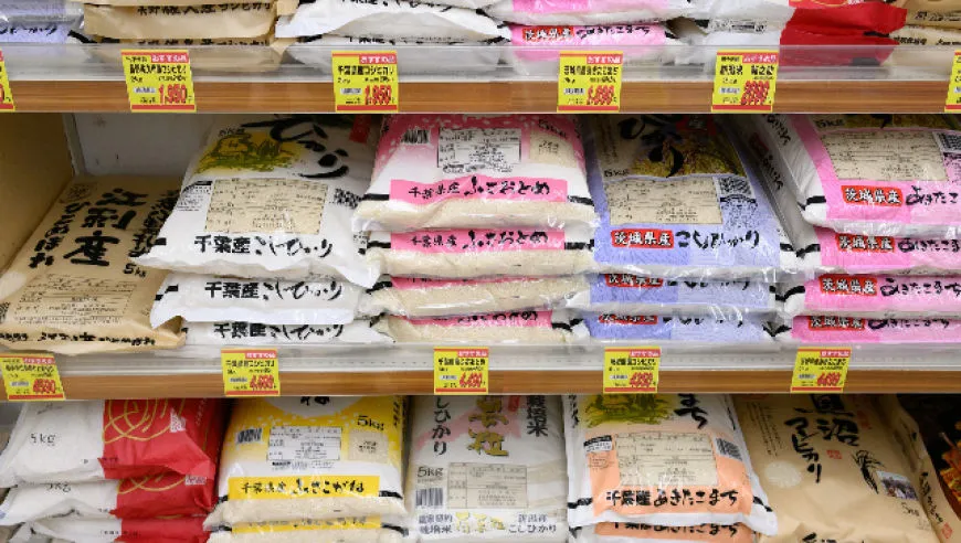 米价暴涨暴跌，日本大米政策“混乱至极”