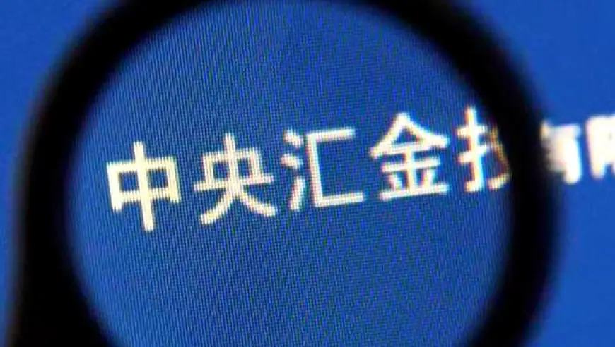 中央汇金再曝21家“李鬼”：假国企为何屡打不绝？