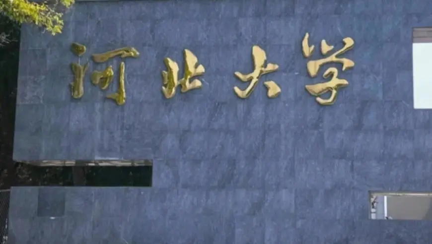 河北大学康某某博士学位论文被指使用AI辅助生成涉嫌学术不端，校方已启动调查