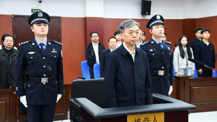 杨小伟一审被判十二年