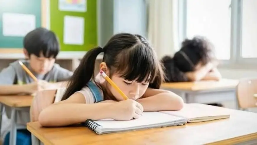 幼儿园不得提前教拼音识字等小学内容