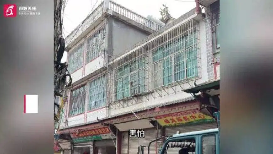 一小区出现眼镜王蛇，重达16斤，就在居民窗外游走，消防：是世界上体型最大的前沟牙毒蛇