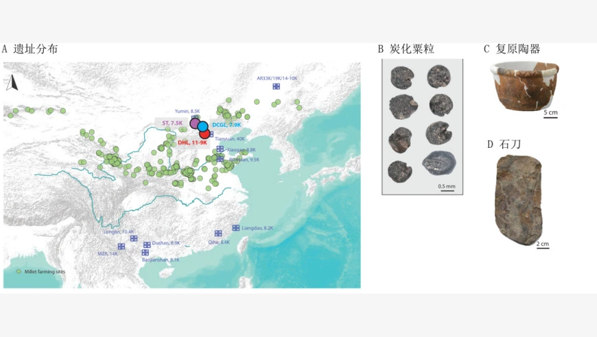 我国科学家揭示中国北方早期粟作人群的本地起源