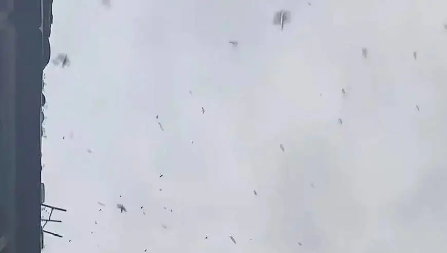 湖北老河口鸟群低空乱飞，当地应急局：每年迁移来此，此地食物残渣多，与地震无关