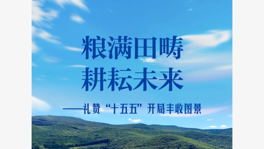 粮满田畴 耕耘未来——礼赞“十五五”开局丰收图景