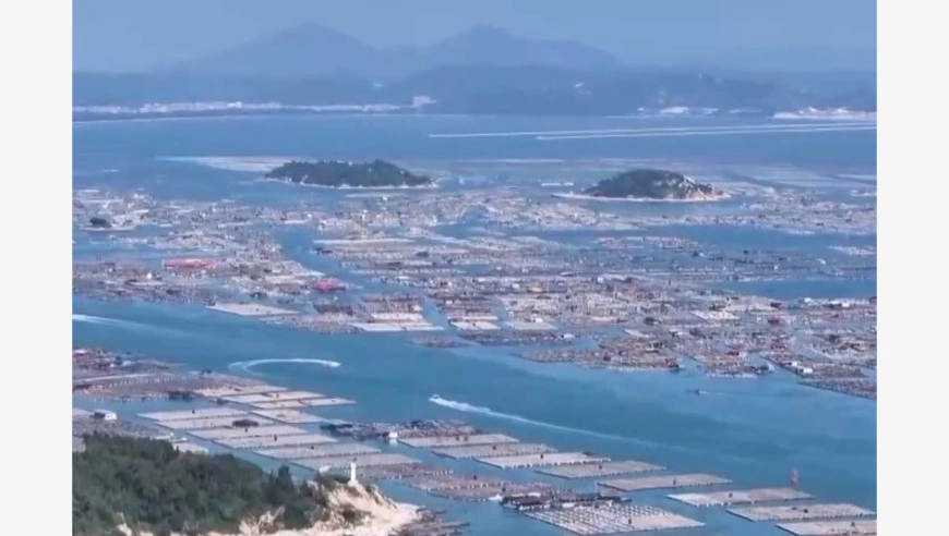 新思想引领新征程丨为人民出政绩 以实干出政绩