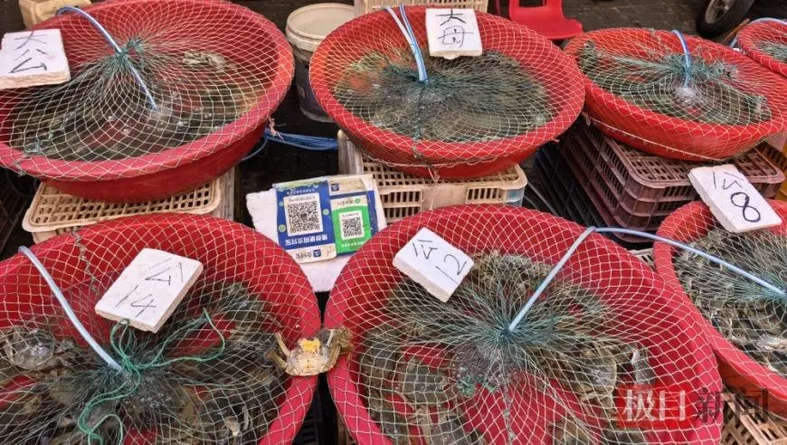 2两公蟹8元一只！节后螃蟹身价下跌