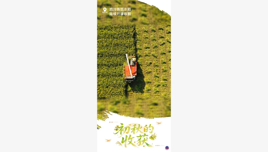 海报丨初秋的收获