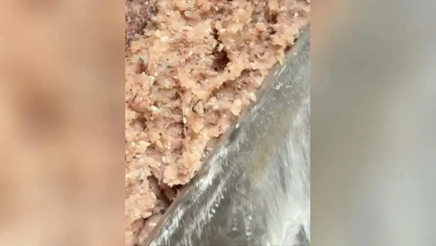 女子辛苦剁了好久肉馅，好不容易剁到满意状态，低头一看崩溃：直接白干