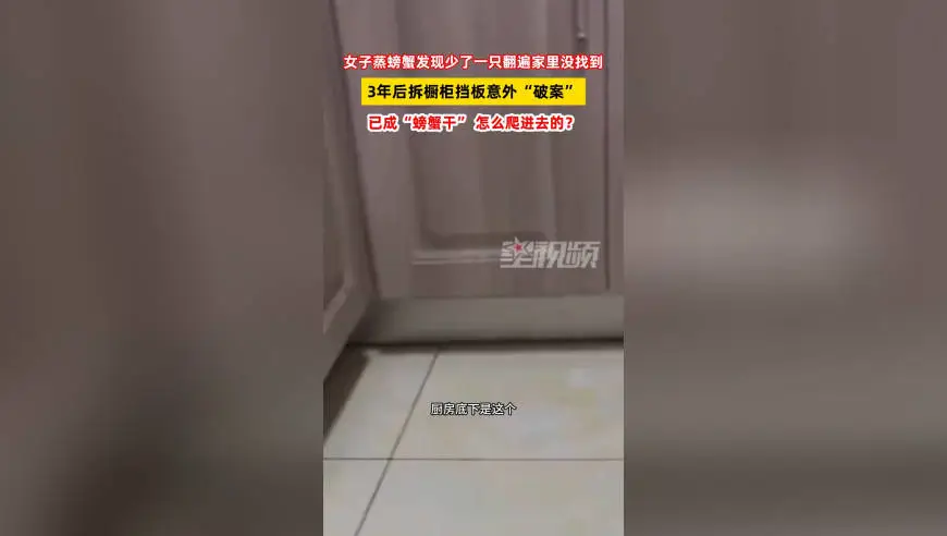 女子蒸螃蟹发现少了一只翻遍家里没找到，3年后拆橱柜挡板破案