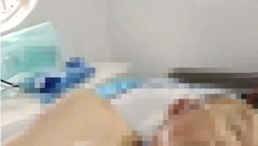 蜇伤汝州七旬老人的是虎头蜂，进ICU治疗后被下达病危通知，当地回应：涉事景观桥管护单位涉及水利住建部门，目前已禁止行人通行