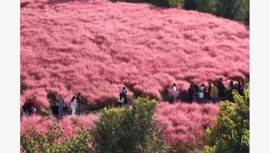 视频丨大江南北秋意渐浓 节后错峰游持续升温