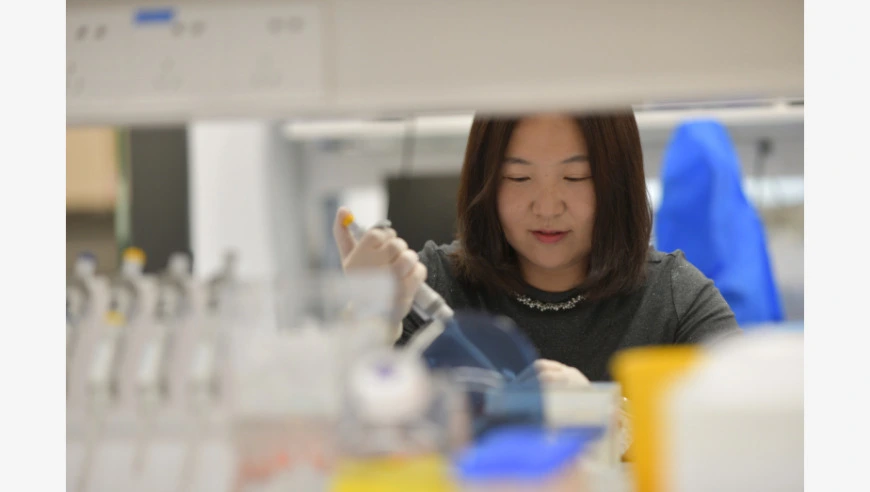 我国科学家找到蚊子“嗅觉导航”的关键拼图