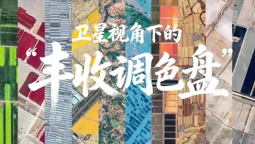 卫星视角下的“丰收调色盘”