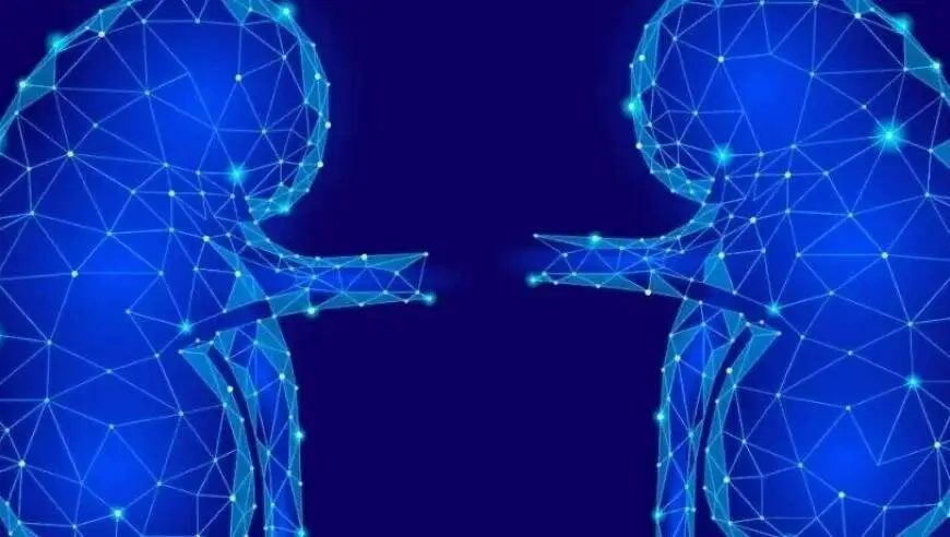 肾炎必须尿蛋白指标 0+ 才是治愈？