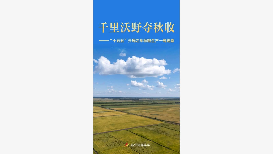 千里沃野夺秋收