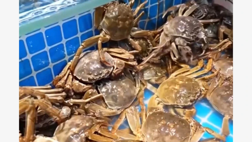 视频丨价格接近腰斩 你爱吃的它，集体降价了