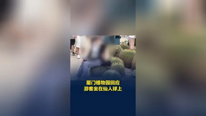 厦门植物园回应游客淡定坐在仙人球上：建议不要触碰，被扎到可去医务室处理