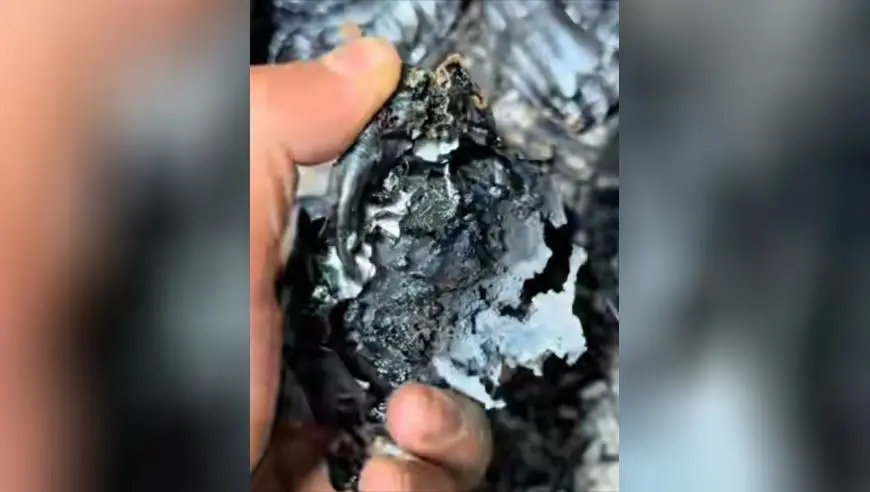 男子上锅蒸大闸蟹后打算歇一下，再睁眼已是第二天：蟹成一锅黑炭，手一捏就碎成渣了