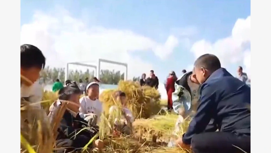 视频丨国庆出游重“体验” 这个假期参与感满满